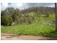 Lot 6&7/ Curlings Road, Flowerdale VIC 3717