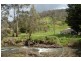 Lot 6&7/ Curlings Road, Flowerdale VIC 3717