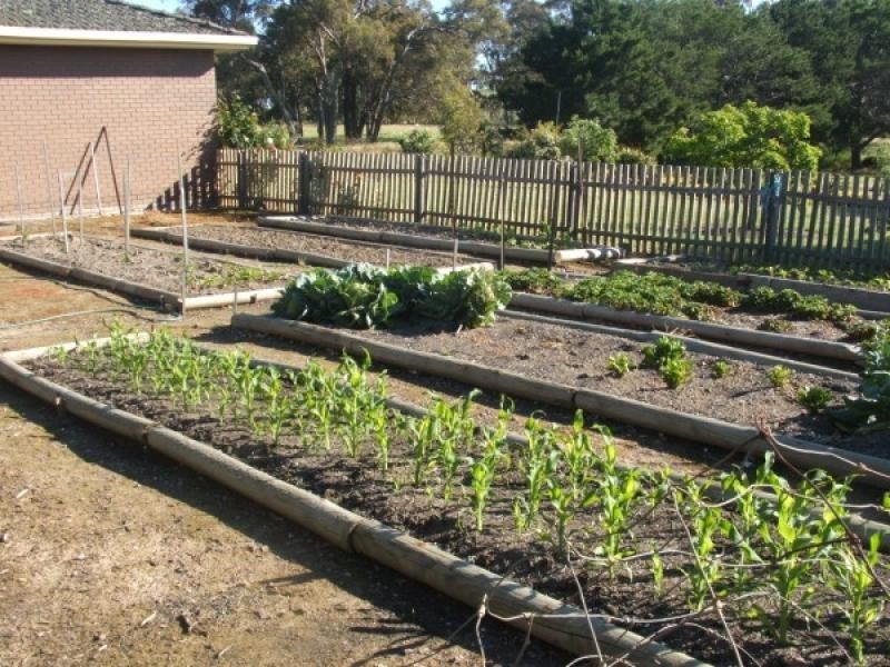 1395 Northwood Road, Seymour VIC 3660