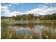 179 Collins Road, Flowerdale VIC 3717