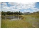 179 Collins Road, Flowerdale VIC 3658