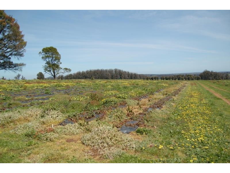 Kinglake Central VIC 3757