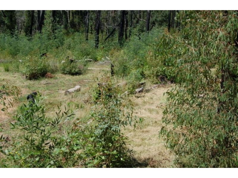 70 Silver Parrot Road, Flowerdale VIC 3717