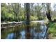 5 King Parrot Court, Flowerdale VIC 3717