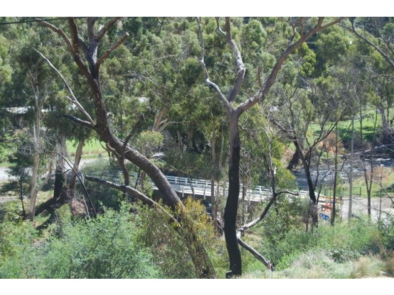 3032 Whittlesea-Yea Road, Flowerdale VIC 3717