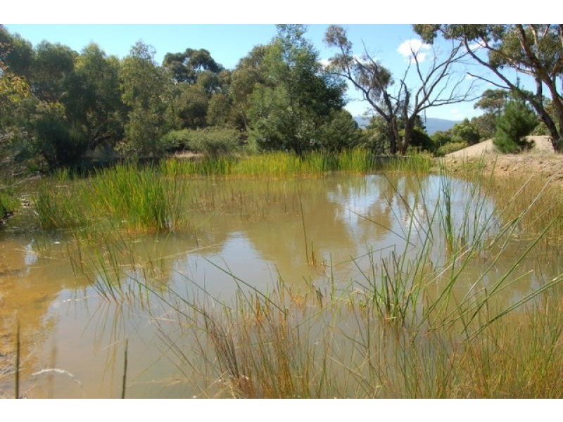 110 Cameron Rise, Beveridge VIC 3753