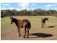 20 Stoney Creek Road, Seymour VIC 3660