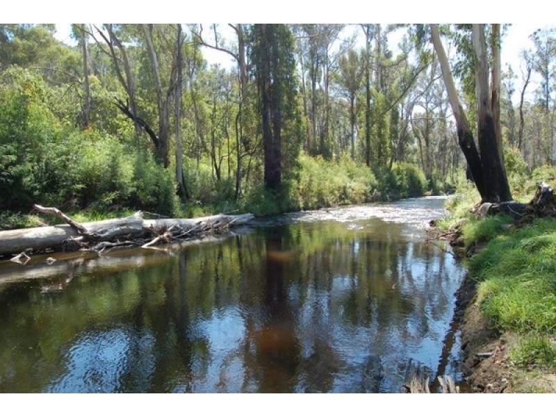 5 King Parrot Court, Flowerdale VIC 3717