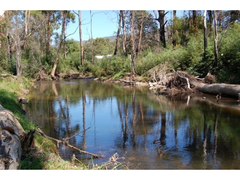 5 King Parrot Court, Flowerdale VIC 3717