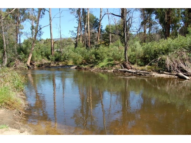 5 King Parrot Court, Flowerdale VIC 3717