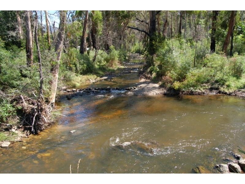 5 King Parrot Court, Flowerdale VIC 3717