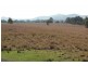 875 Kobyboyn Road, Seymour VIC 3660