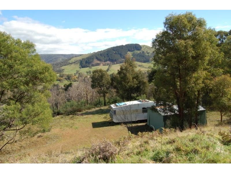 3031 Broadford-Flowerdale Road, Flowerdale VIC 3717