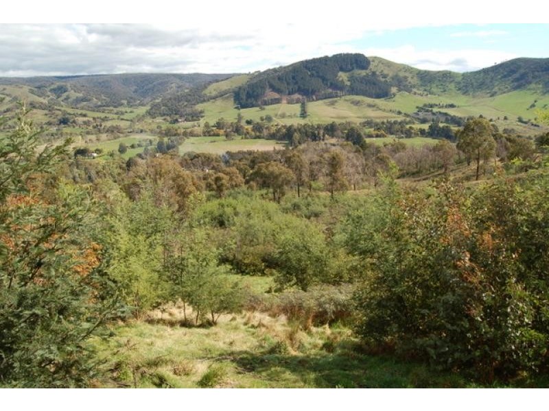 3031 Broadford-Flowerdale Road, Flowerdale VIC 3717