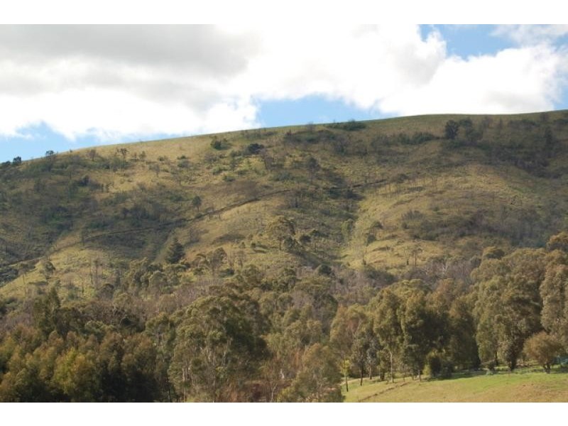 3031 Broadford-Flowerdale Road, Flowerdale VIC 3717