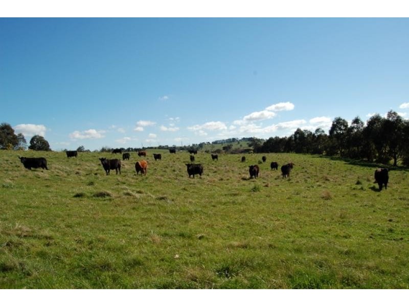 170 Chapel Lane, Doreen VIC 3754