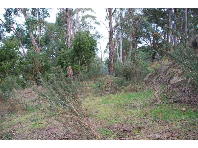 West Hobart TAS 7000