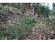 West Hobart TAS 7000