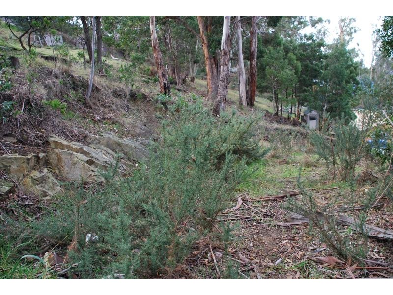 West Hobart TAS 7000