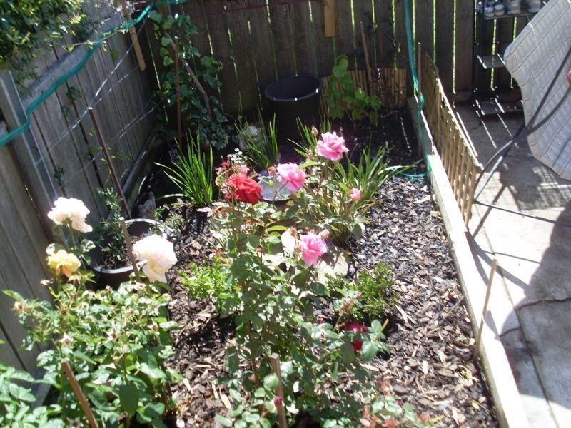 6/6 Katoomba Crescent, Rosetta TAS 7010