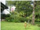 Fern Tree TAS 7054