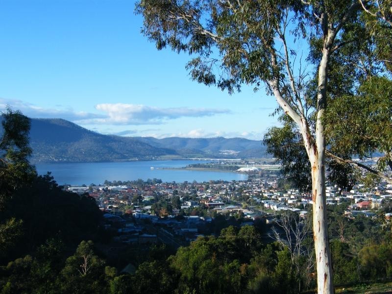 Montrose TAS 7010