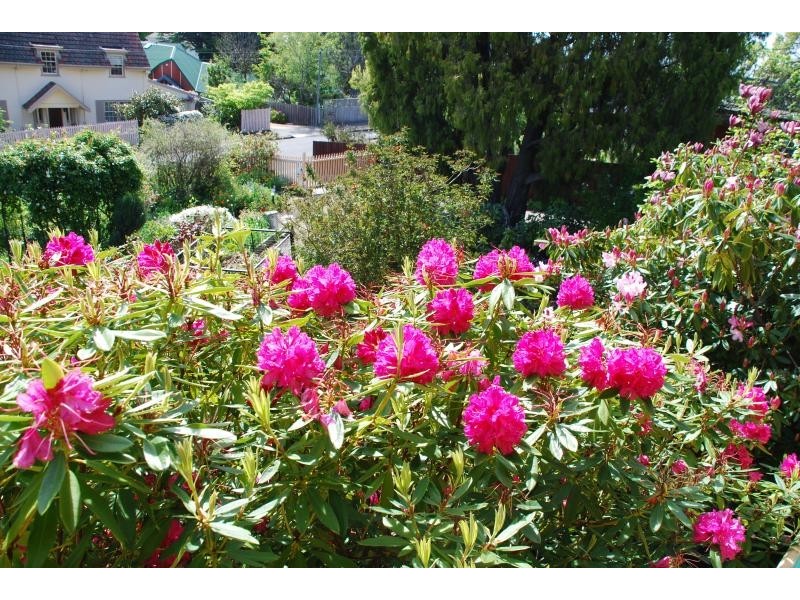 South Hobart TAS 7004