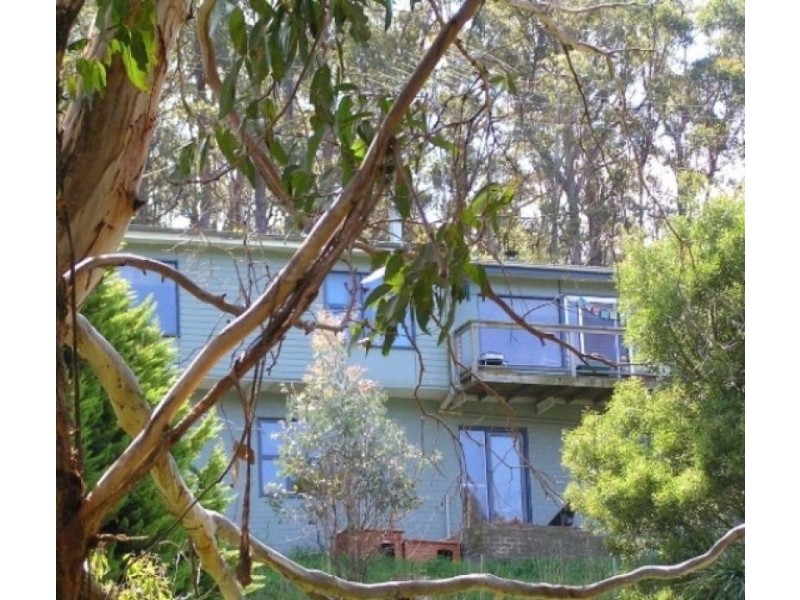 South Hobart TAS 7004