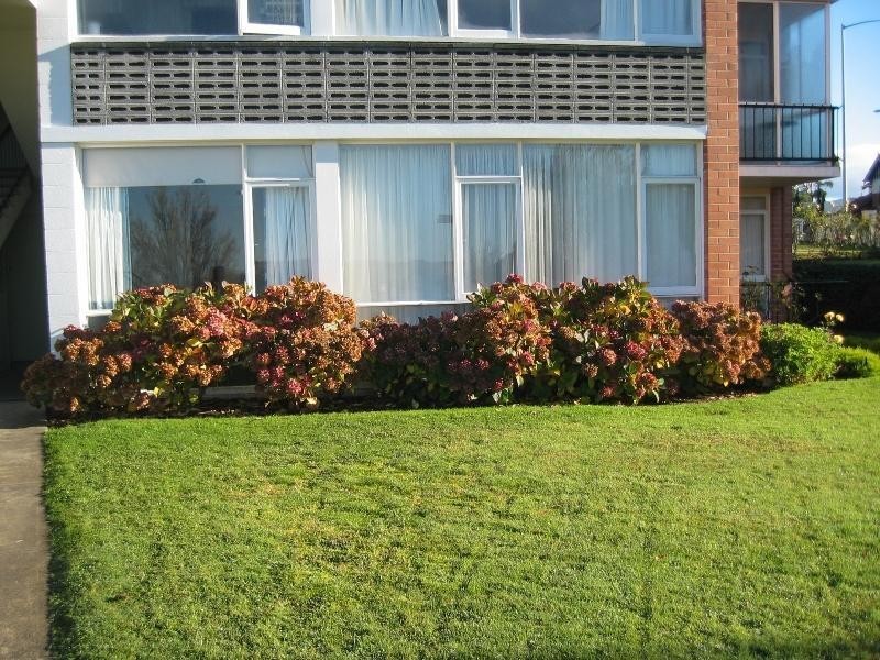 Unit 1/403 Sandy Bay Road, Sandy Bay TAS 7005