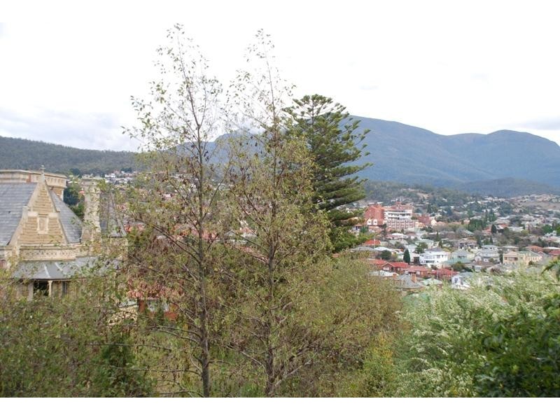 New Town TAS 7008
