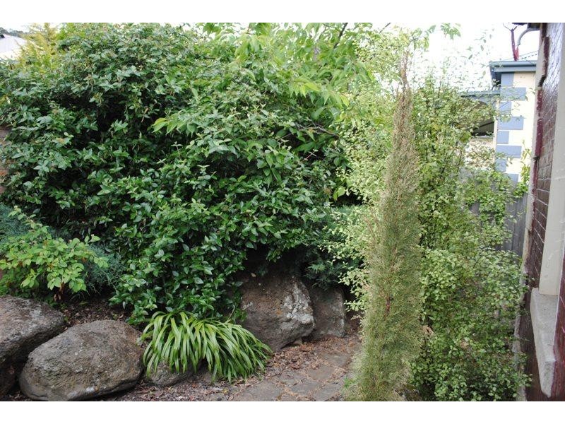 35 Cascade Road, South Hobart TAS 7004