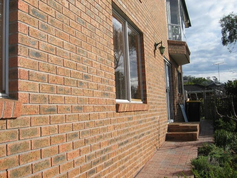 Unit 1/9 Rennie Street, West Hobart TAS 7000