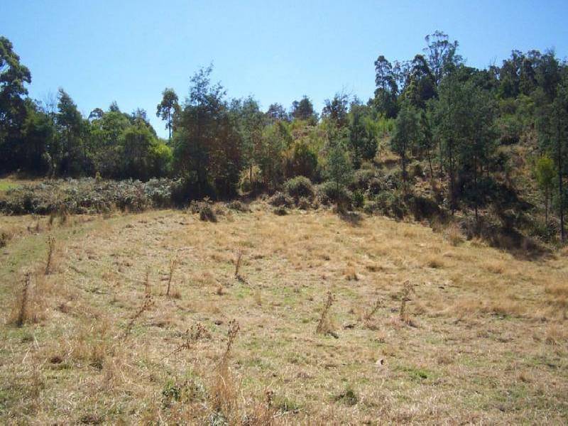 Geeveston TAS 7116
