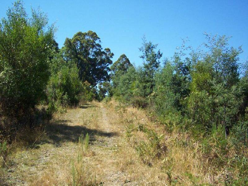Geeveston TAS 7116