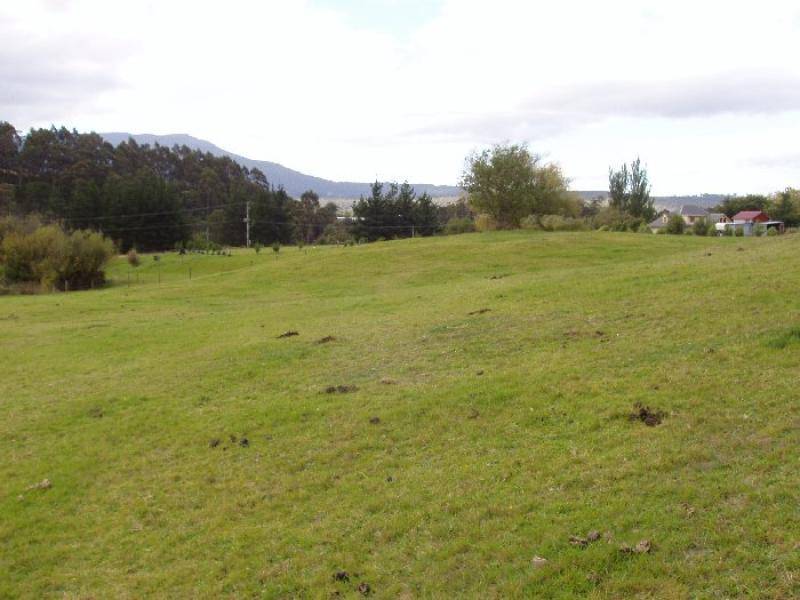 Allens Rivulet TAS 7150