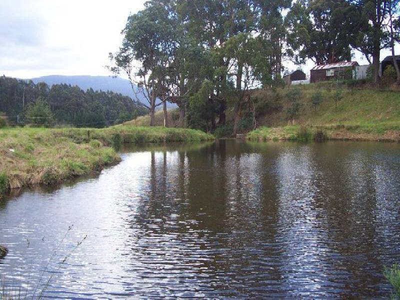 Allens Rivulet TAS 7150