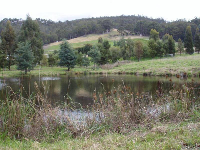 Allens Rivulet TAS 7150