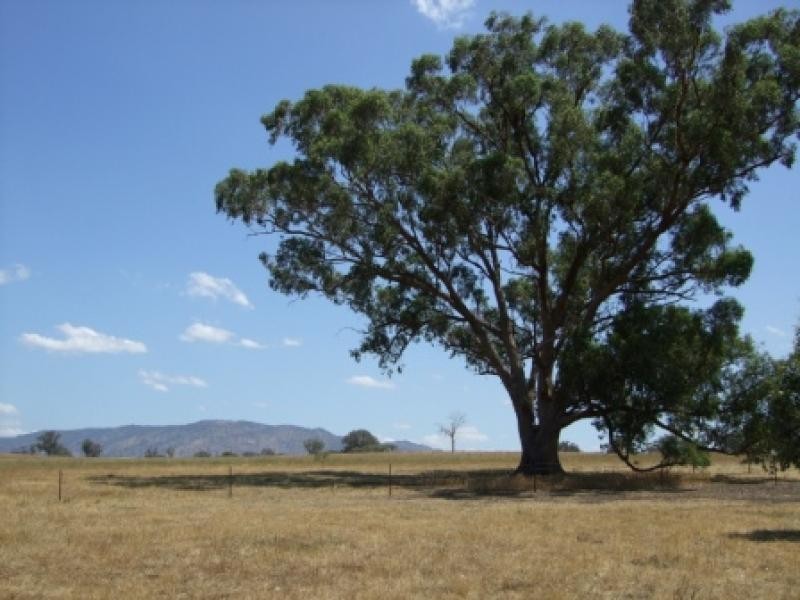 360 KOBYBOYN ROAD, Seymour VIC 3660