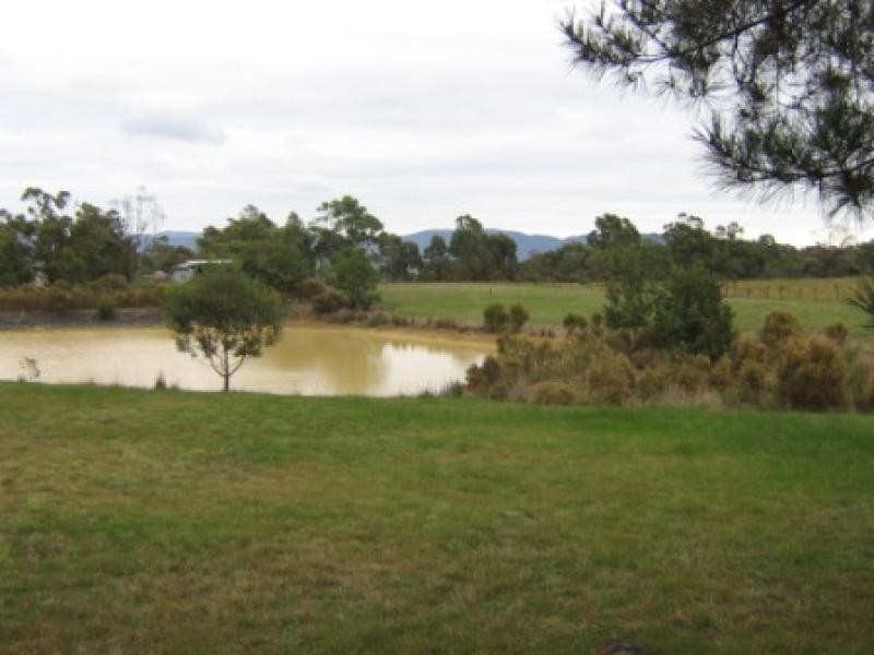 17 TRAINERS DRIVE, Kilmore VIC 3764