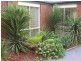 4 Jacaranda Court, Kilmore VIC 3764