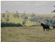 Lancefield VIC 3435
