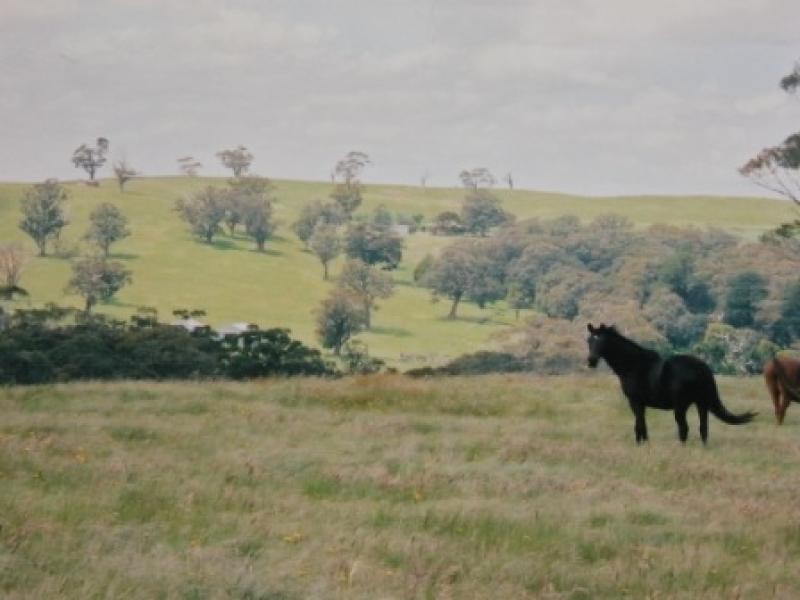 Lancefield VIC 3435