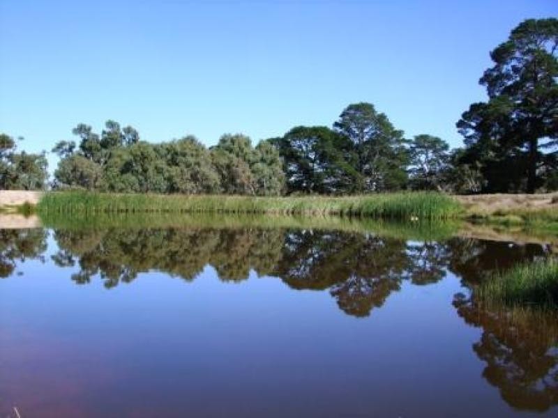 270 Marchbanks Road, Broadford VIC 3658