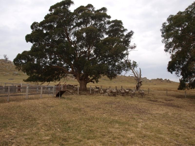 520 WEST ROAD, Pyalong VIC 3521