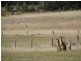 2 QUARRY SIDING ROAD, Wandong VIC 3758