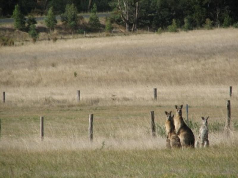 2 QUARRY SIDING ROAD, Wandong VIC 3758