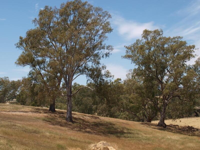 65 Heywoods Road, Seymour VIC 3660