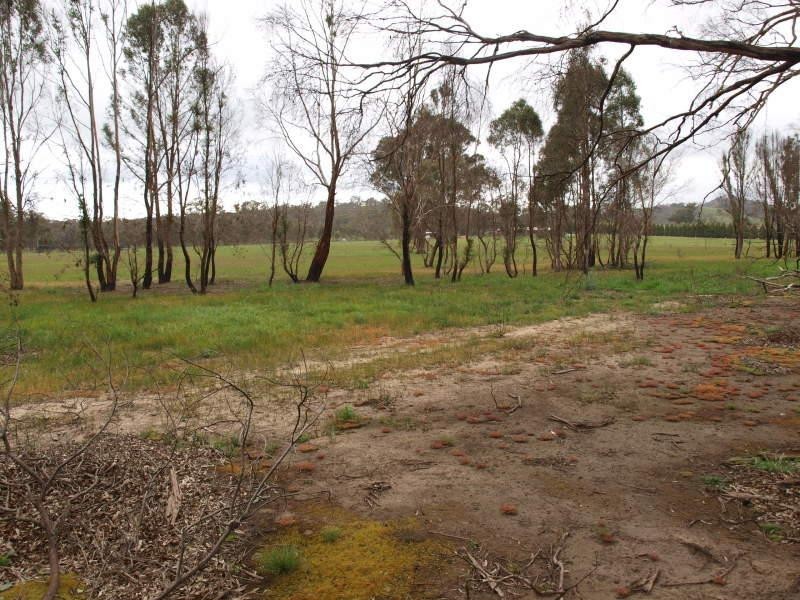 90 Spur Road, Clonbinane VIC 3658