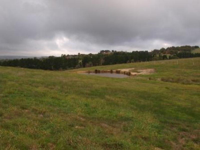Lot 29/ Sir Leo Curtis Drive, Wandong VIC 3758