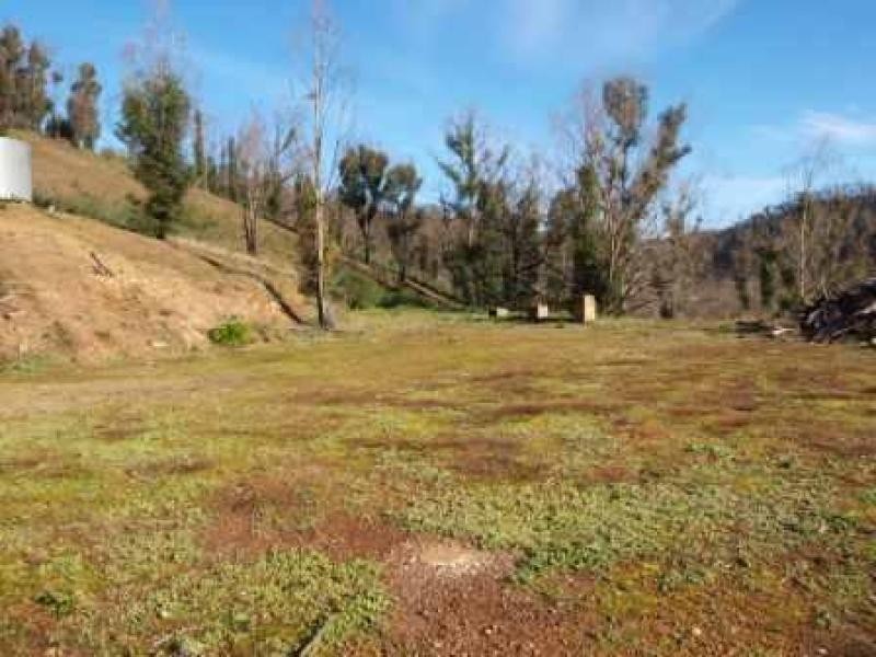 135 Peel Road, Reedy Creek VIC 3658